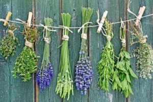 la medicina herbal